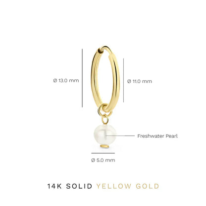 Delia Crest Øreringe | Guld